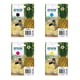 Epson 604XL Pack 4 cartuchos de tinta | EPSB-604XL