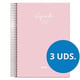 Pack 3 Agendas 2027 A5 espiral día vista | Rosas
