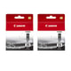 Canon PGI35 Pack x2 Cartuchos de tinta | CANB-PGI35