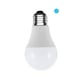 Bombilla LED E27 | Luz blanca | 5W | 6500K