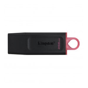 Kingston memoria USB 3.2 | 256 GB